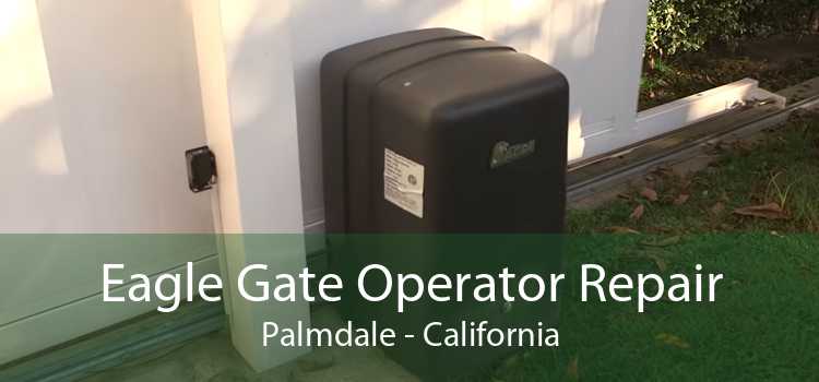 Eagle Gate Operator Repair Palmdale - California